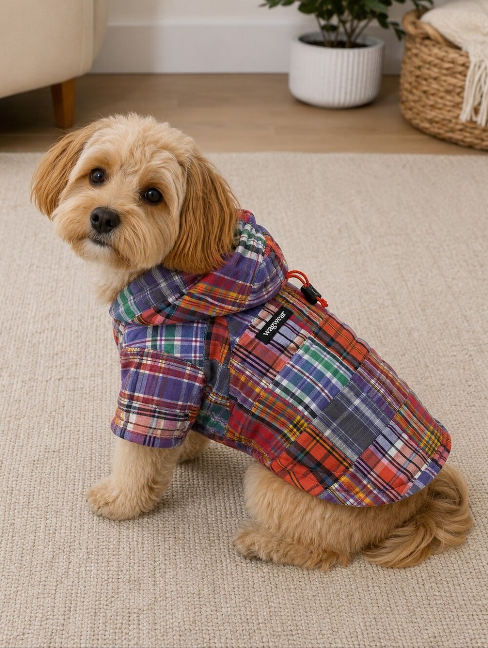 Wagwear Madras Plaid Hoodie